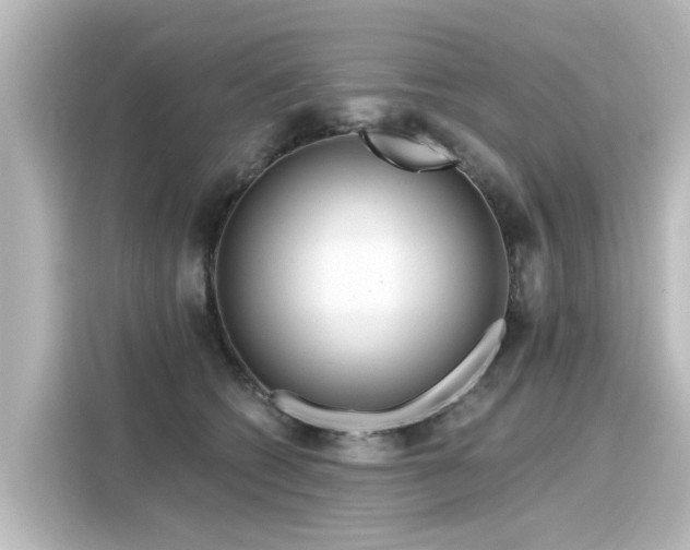 X0000116160562200911301604