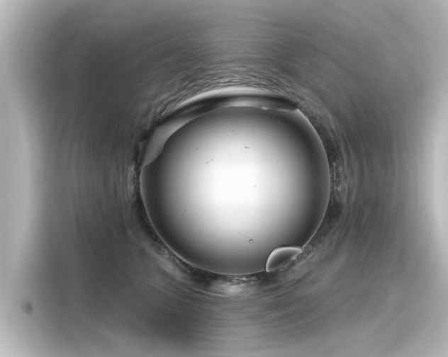 X0000116160563200911301604