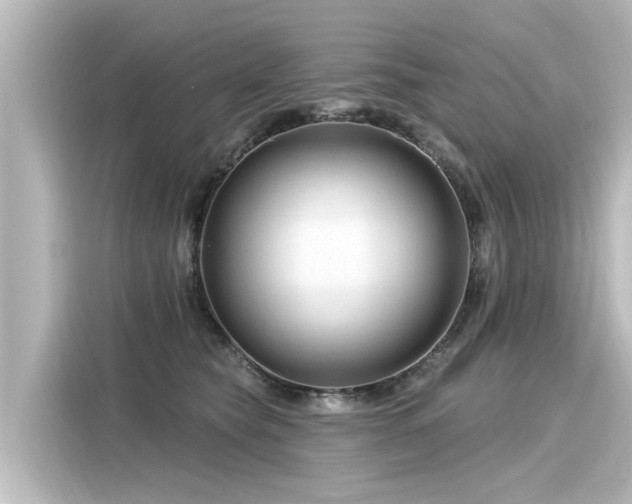 X0000116160565200911301604