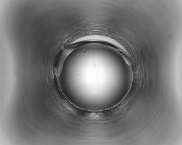 X0000116160566200911301604