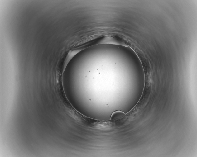 X0000116160567200911301604