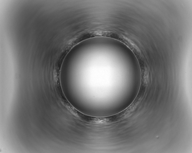 X0000116160569200911301604