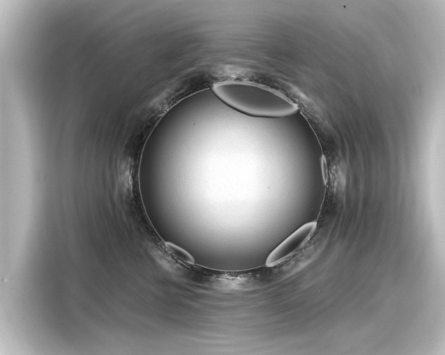 X0000116160570200911301604