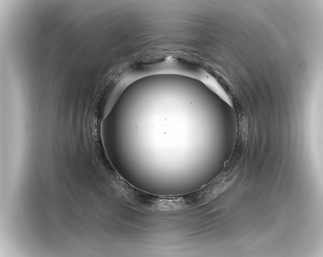 X0000116160571200911301604