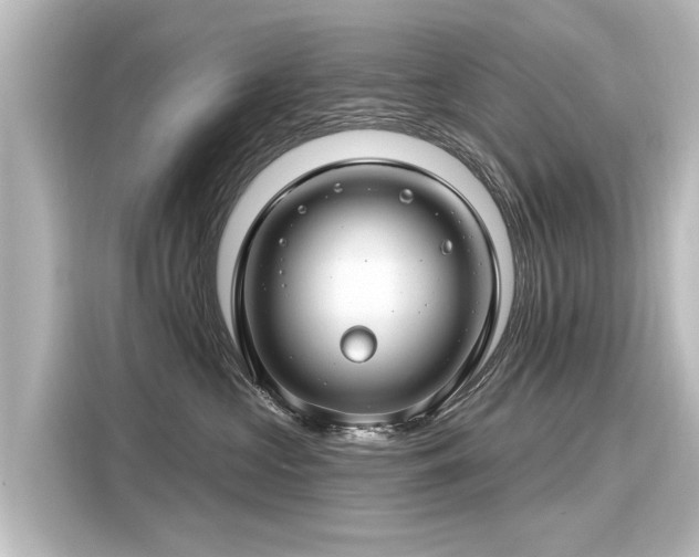 X0000116160573200911301604