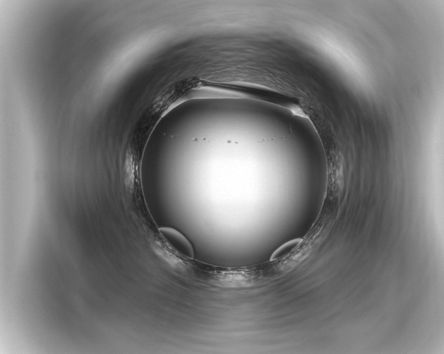 X0000116160574200911301604