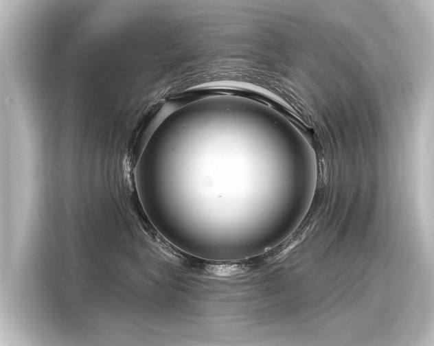 X0000116160575200911301604