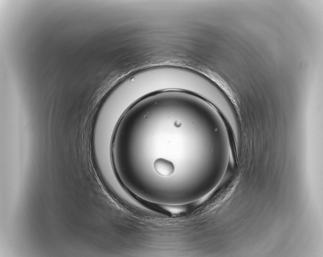 X0000116160577200911301603