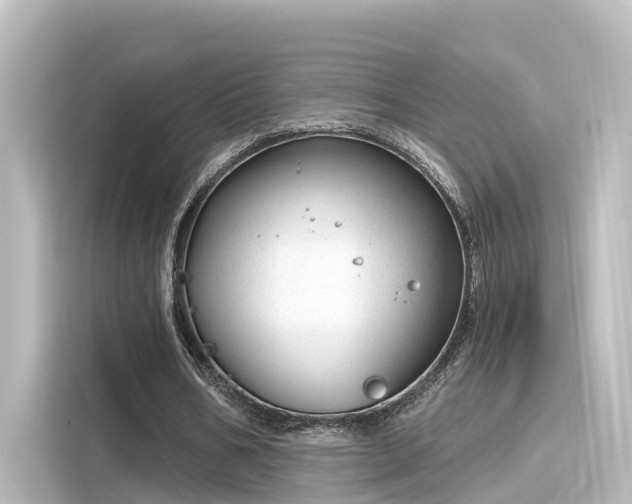 X0000116160578200911301603