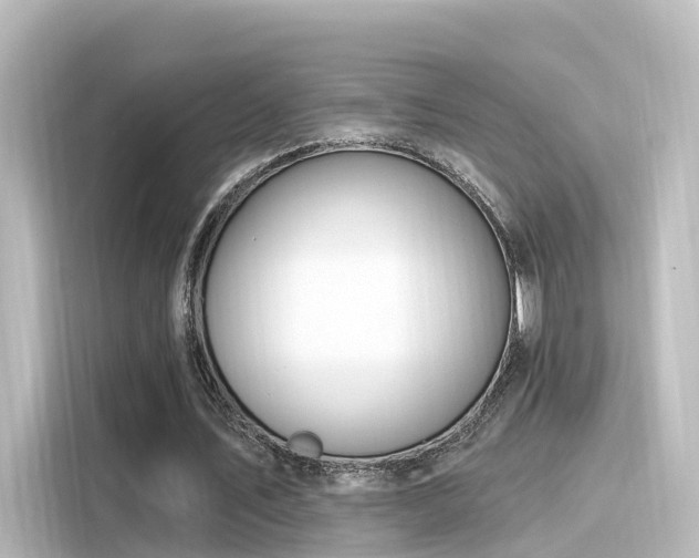 X0000116160579200911301603