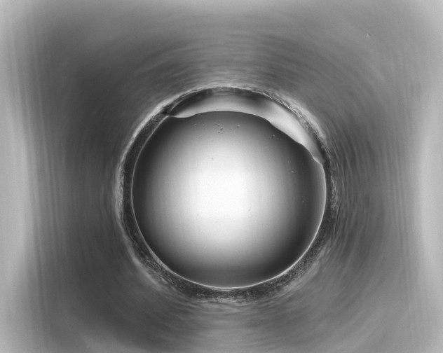 X0000116160580200911301603