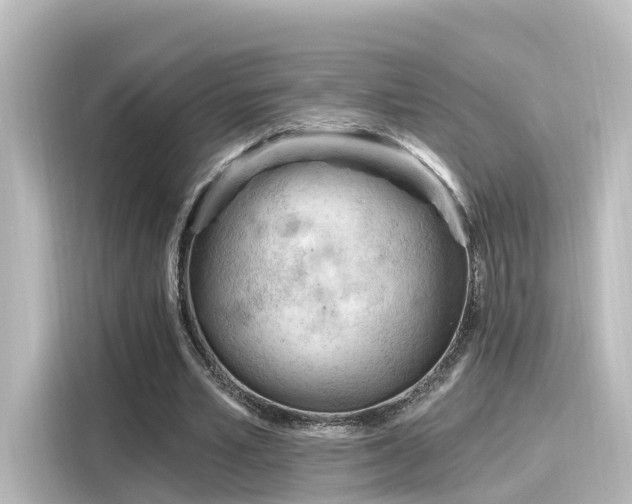 X0000116160581200911301603