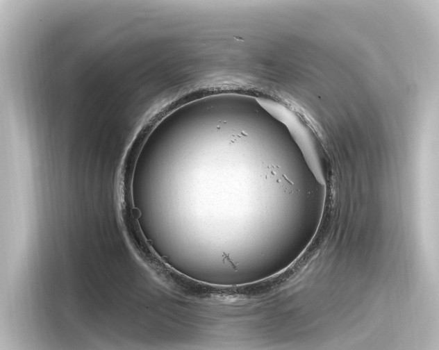 X0000116160582200911301603