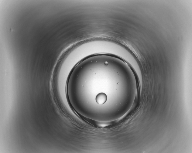 X0000116160583200911301603