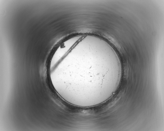 X0000116160584200911301603