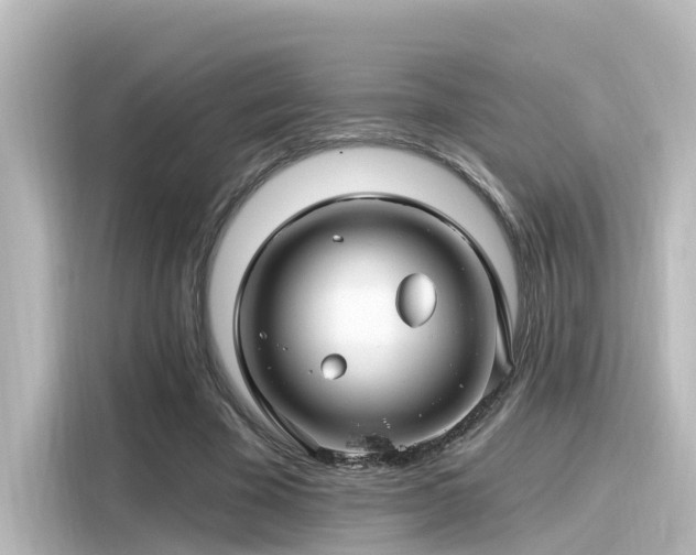 X0000116160585200911301603