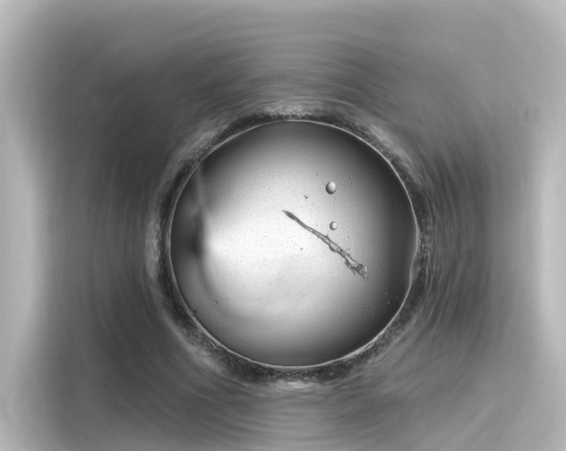 X0000116160586200911301603