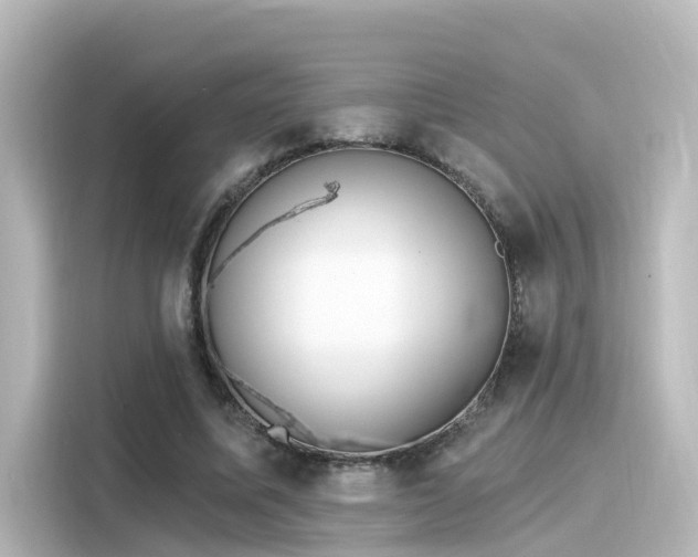 X0000116160587200911301603