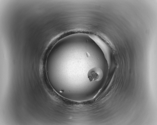 X0000116160588200911301603