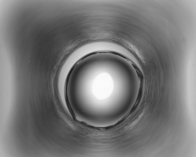 X0000116160589200911301603