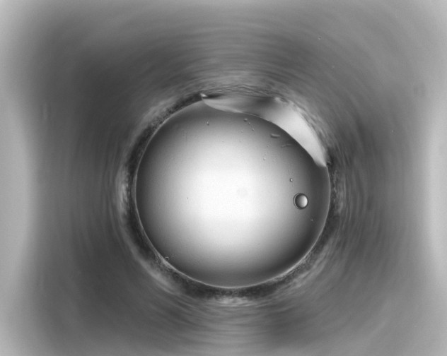 X0000116160590200911301603