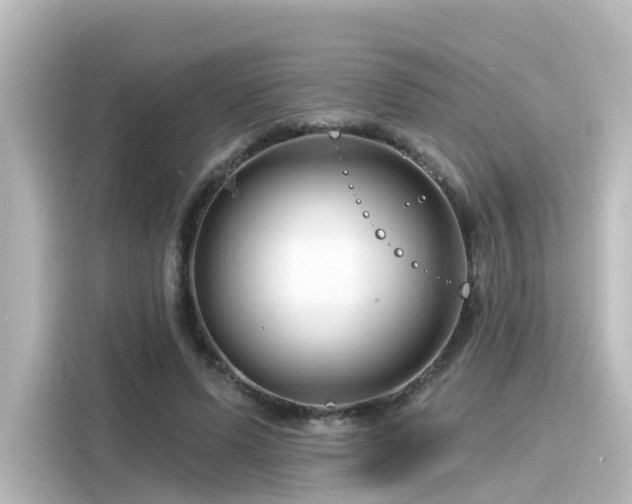 X0000116160591200911301603