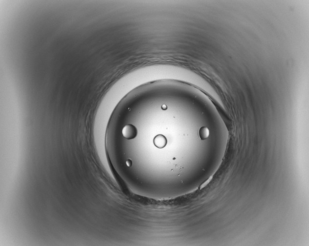 X0000116160593200911301603