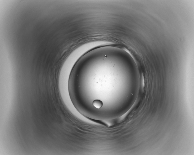 X0000116160595200911301603