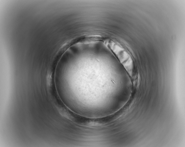 X0000116160596200911301603