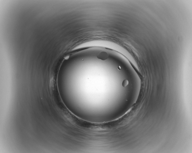 X0000116160597200911301603