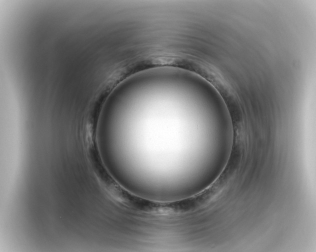 X0000116160598200911301603