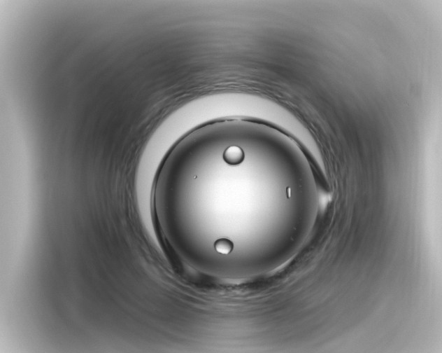 X0000116160599200911301603