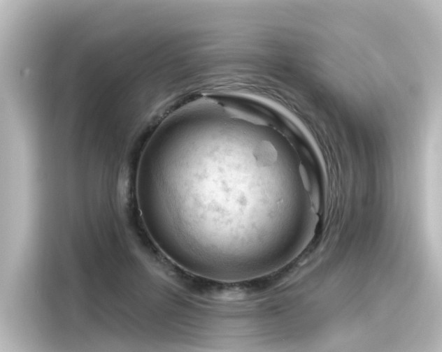 X0000116160600200911301603