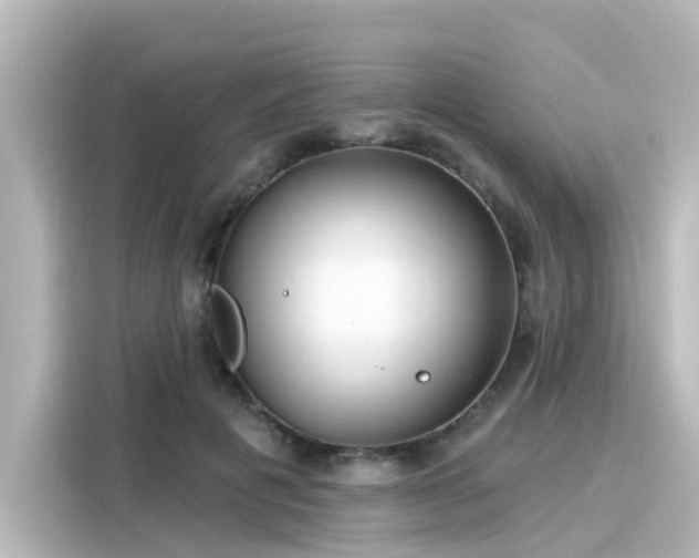 X0000116160601200911301603