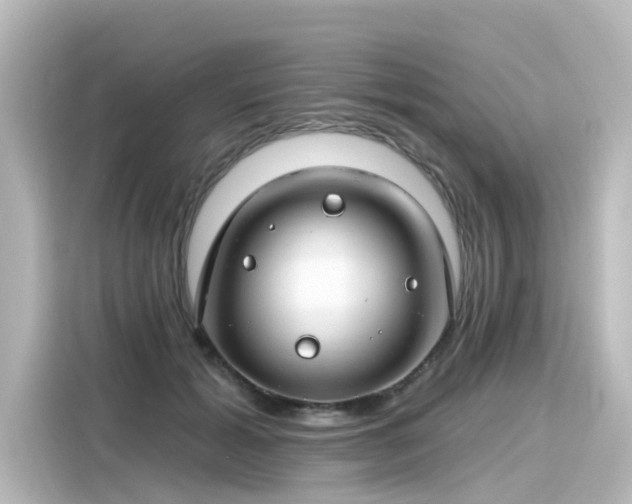 X0000116160605200911301603