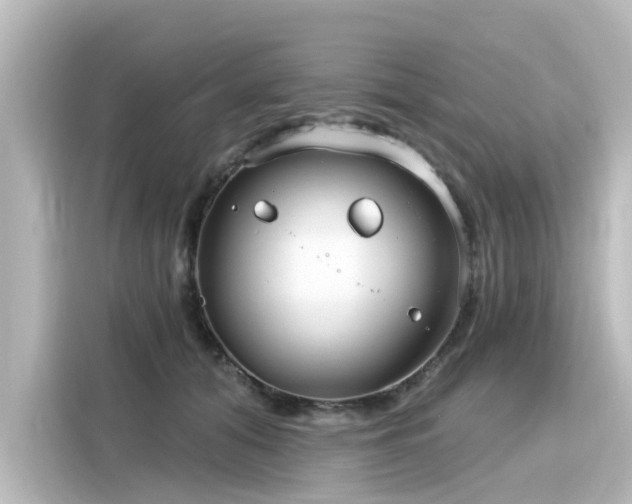 X0000116160608200911301603