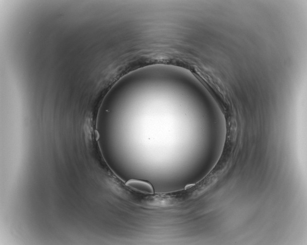 X0000116160612200911301603