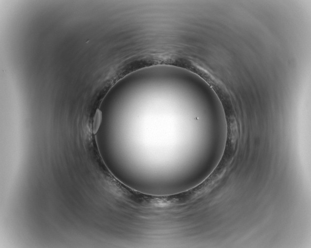 X0000116160613200911301603