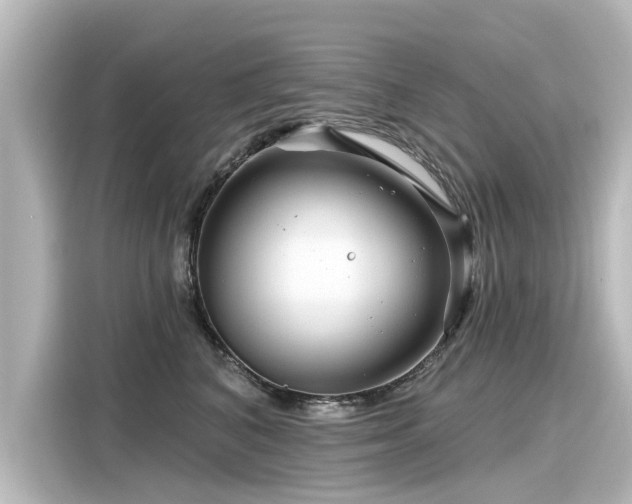 X0000116160616200911301603