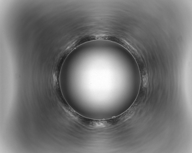 X0000116160618200911301603