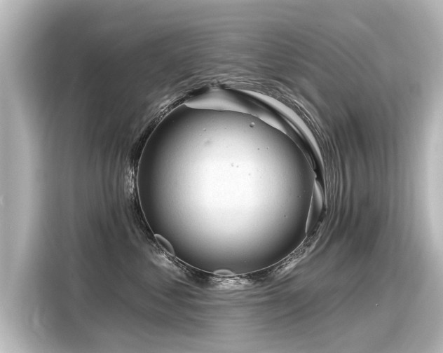 X0000116160621200911301603