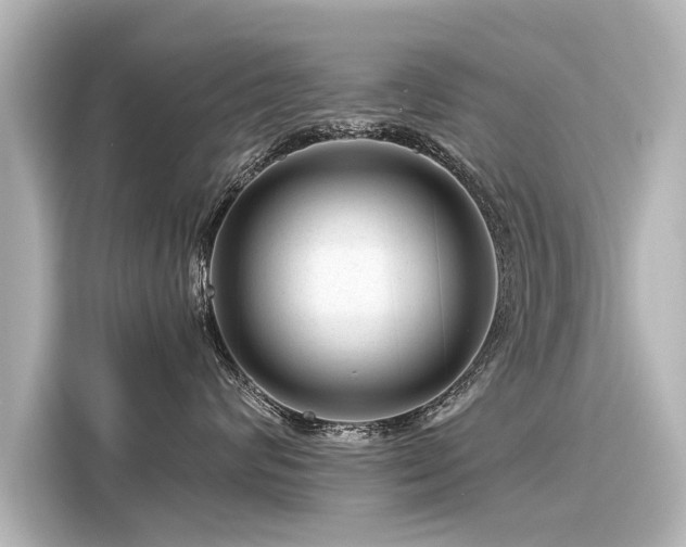 X0000116160624200911301602