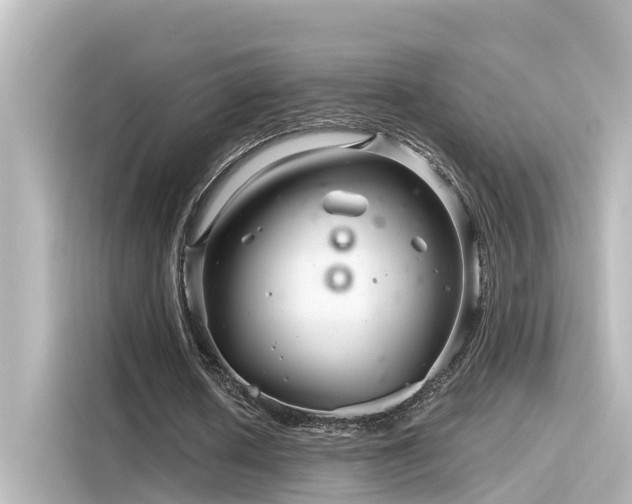 X0000116160626200911301602