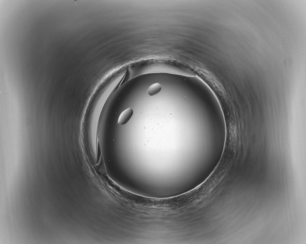 X0000116160628200911301602