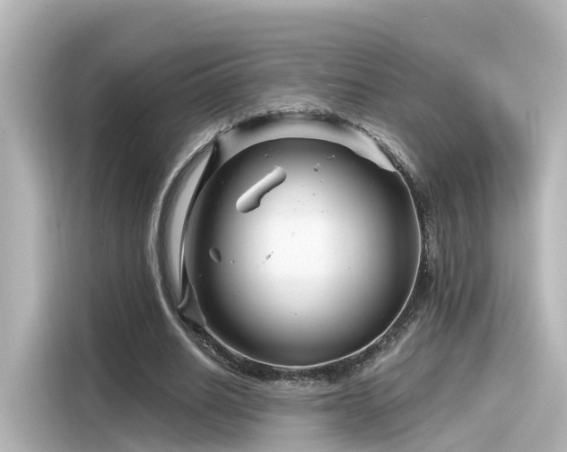 X0000116160630200911301602