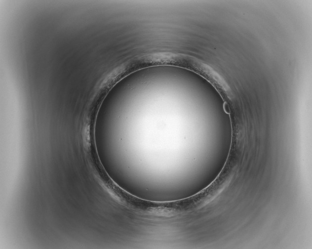 X0000116160633200911301602