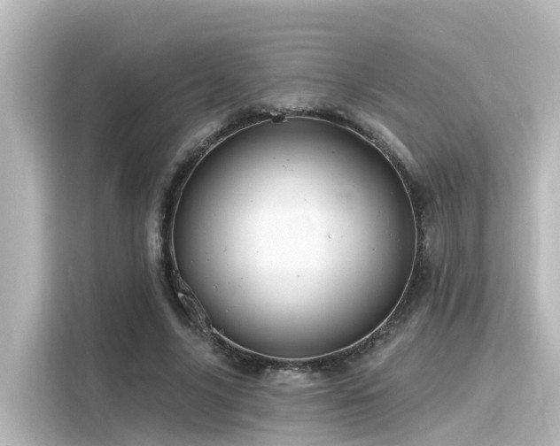 X0000116160635200911301602