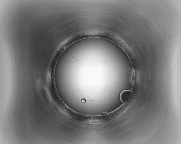 X0000116160636200911301602