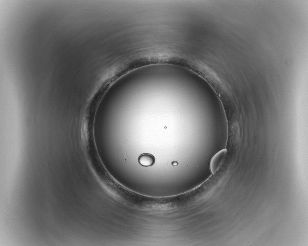 X0000116160638200911301602