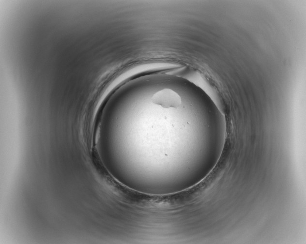 X0000116160640200911301602